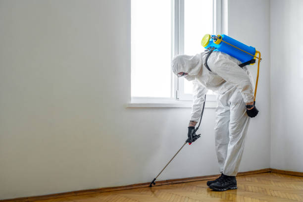 Wildlife Control Services in Palmyra, WI