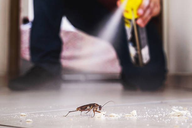 Best Best Pest Control Companies  in Palmyra, WI